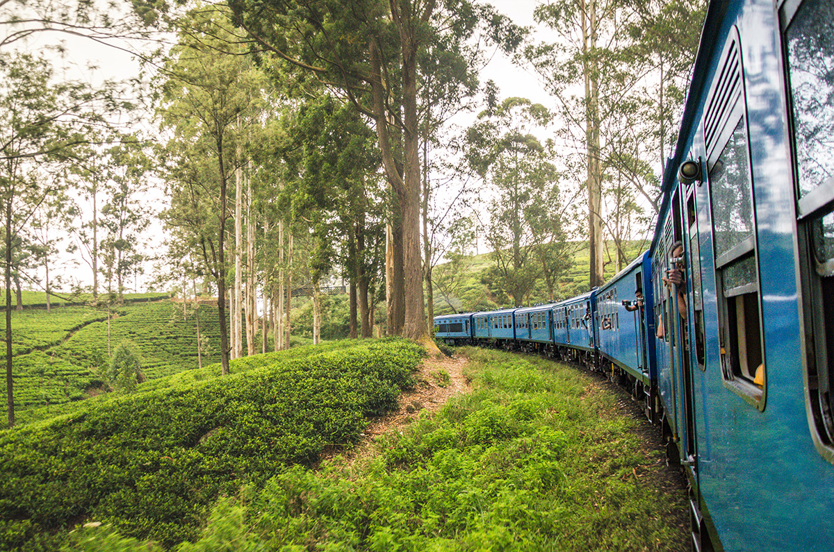 Journey by Train on Forgotten Railroads